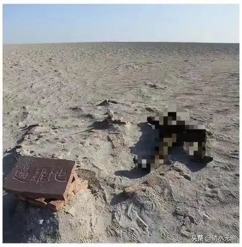 徒步第一人倒在罗布泊无人区再也没出来,距离补给点仅1.5公里!