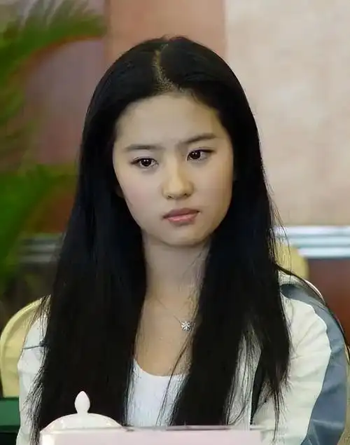 刘亦菲简介人资料(深度揭秘刘亦菲早年经历)-图12