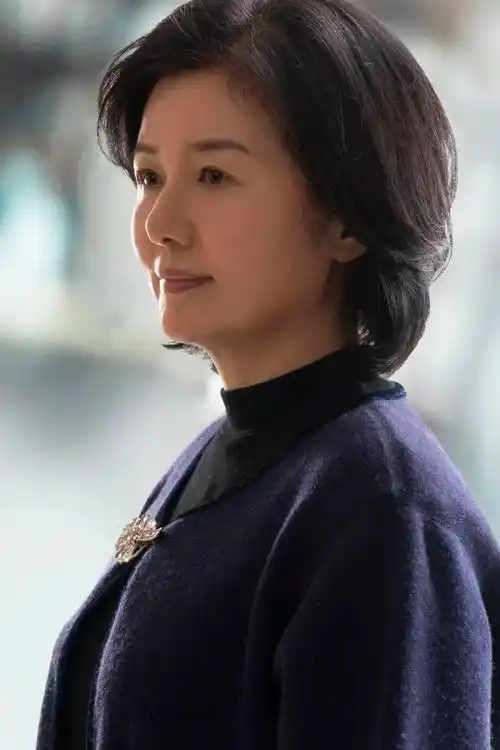 艺术为了和平丨国际和平艺术家:郑卫莉_联合国_中国_电影