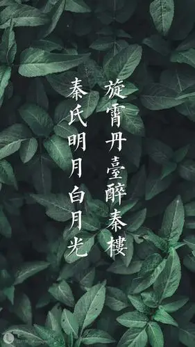 第十三期「秦霄贤壁纸合集」这个沙雕男孩的颜值怕是用智商换的吧