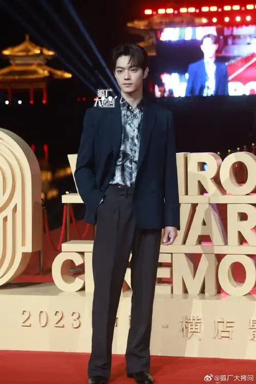 许凯横店代言人回家##文荣奖红毯