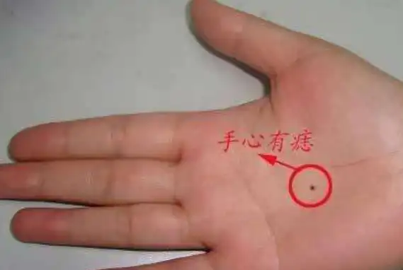 "十指尖尖,一世清闲",有此手相的女人天生富贵命,还特别旺夫