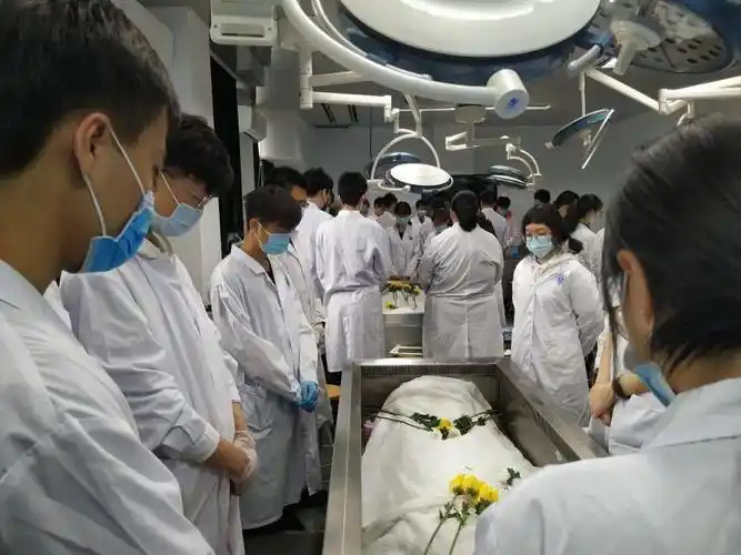 基础·特刊 | 北京大学基础医学院"感恩无言良师,牢记医者使命"清明