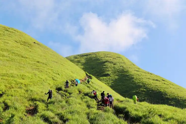 徒步武功山草甸