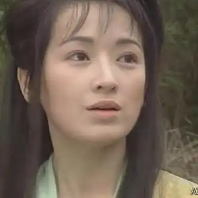 在张卫健版里的龚慈恩饰演的观音被称为最美的观音,并且大获好评.