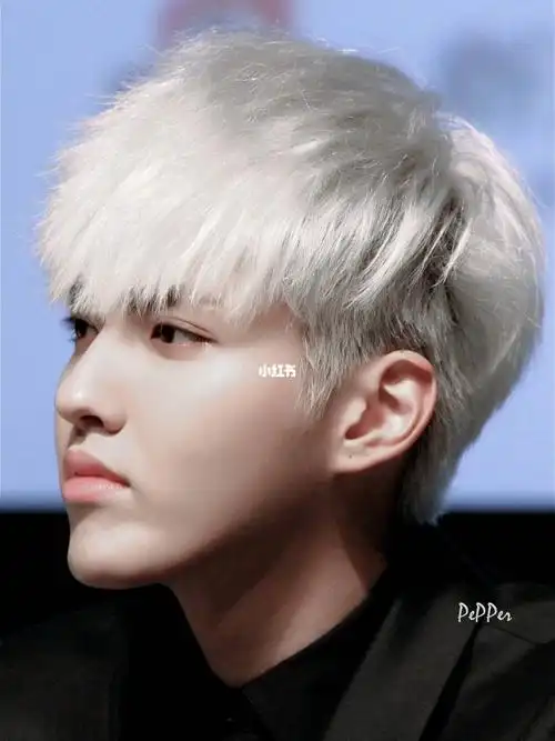 好喜欢白发和银发99_吴亦凡_娱乐_明星娱乐资讯