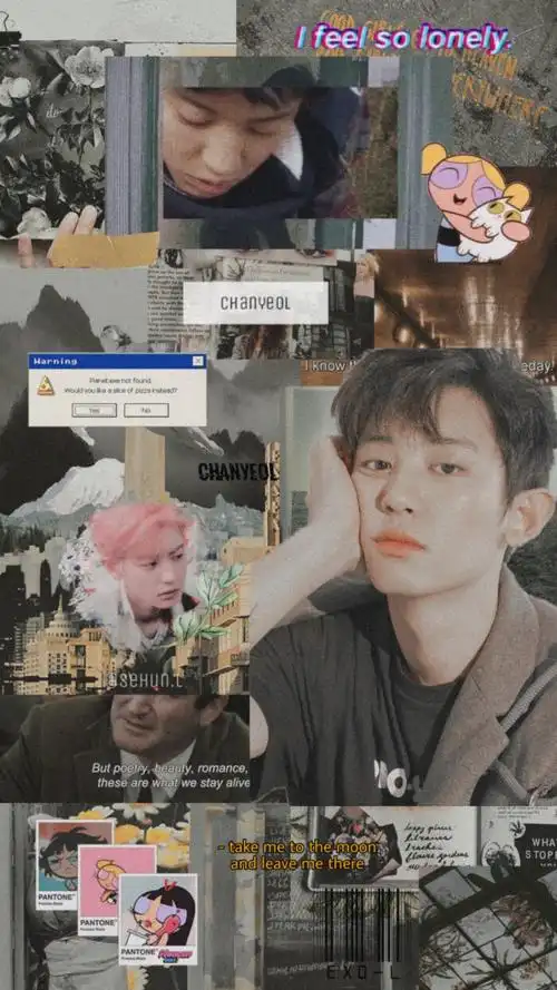 朴灿烈拼贴壁纸禁二改 二传dt宋温梦