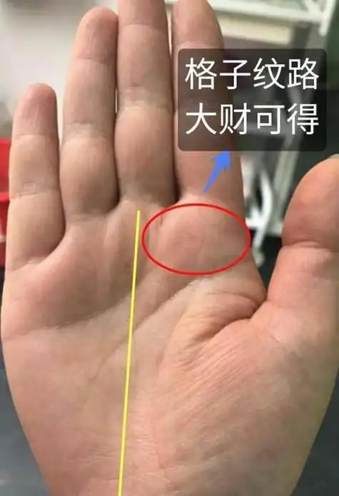 代表才的手相女人大富大贵七种手相会嫁好老公的手相