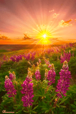 最美的山水风景动态图人间天堂