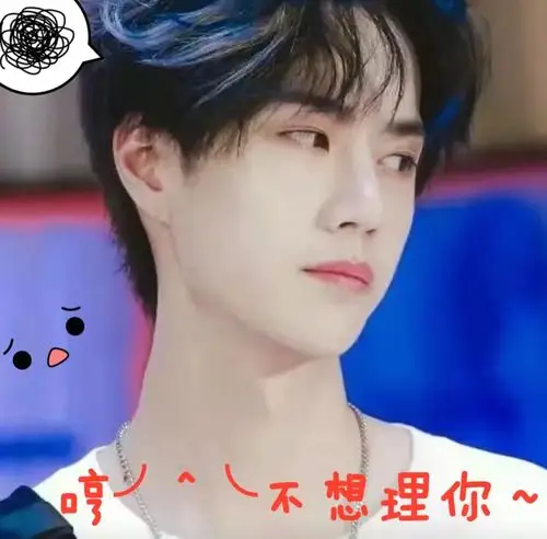 最爱的肖战王一博表情