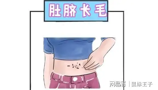 肚脐长毛男人如果肚脐附近长很多细微的毛毛,这种无论是男女,他们的