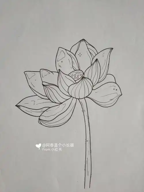 临摹线条画装饰画附带过程