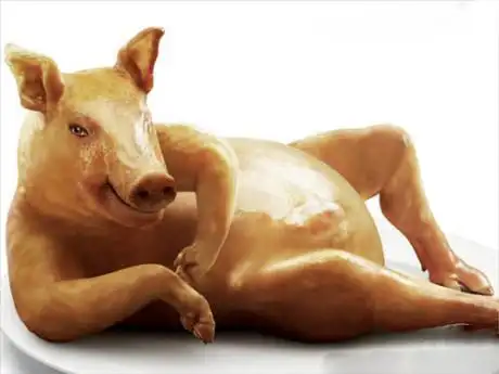 好性感的烤乳猪,我都要流口水了 - 搞笑图片 - 查字典