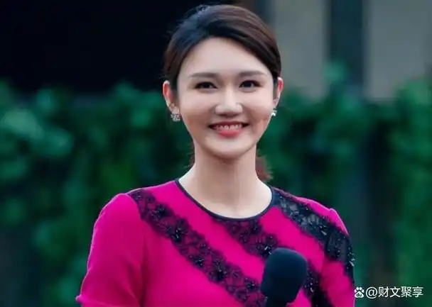 龙洋:27岁登上春晚,被称为"董卿接班人",29岁因升职太快引发争议