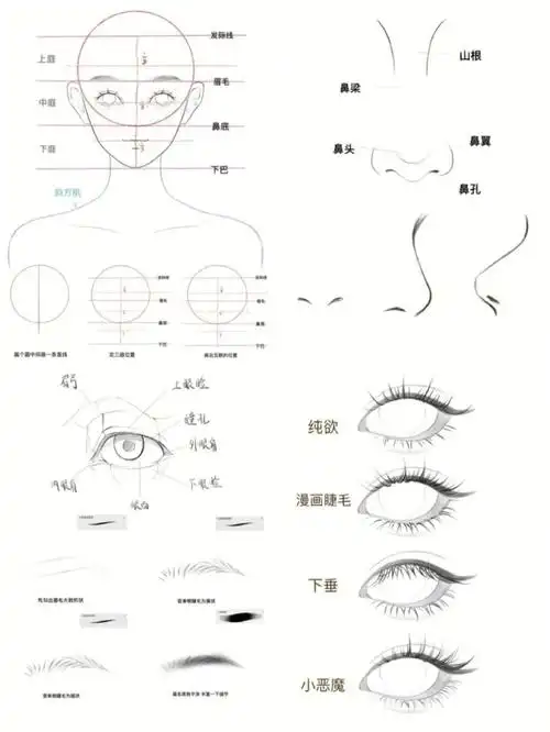画画的日常  #笔记灵感分享一波五官的详细画法来源:画画的七崽#换