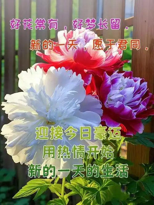 新版早晨好问候语图片最新清晨早上好问候祝福语动态表情图片