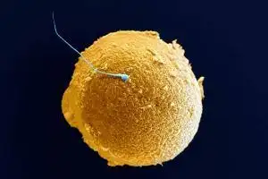 灵魂--相关文章