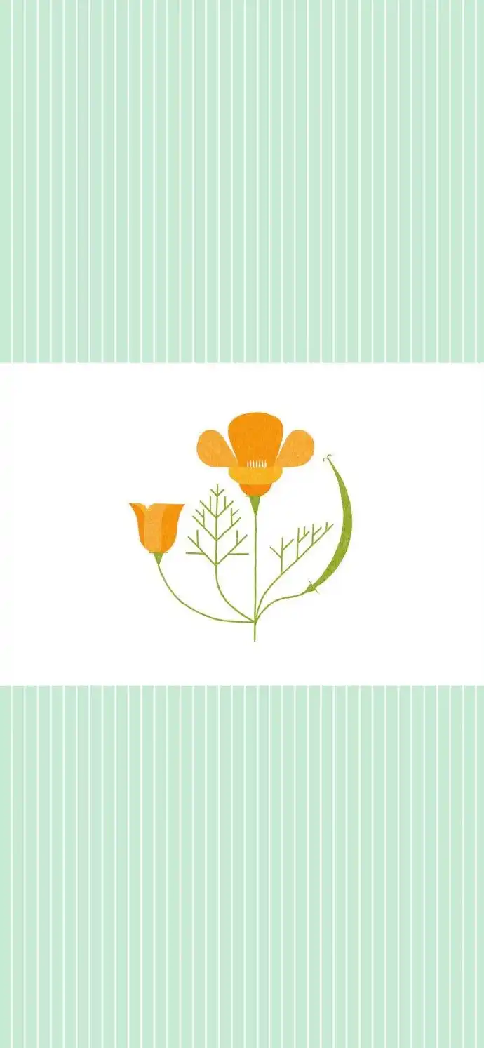 简约清新花朵插画壁纸手机壁纸#自制壁纸##背景图##插画壁纸