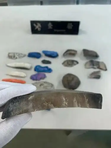 滴血的犀牛角上海海关今年查获多批走私犀牛角入境案件