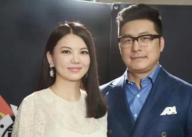 王岳伦深夜自曝离婚,暗讽李湘有新欢:结婚12年,终于不想装了|大s|何炅