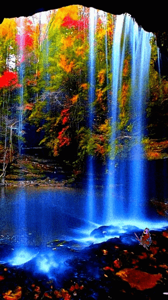 360_640竖版 竖屏gif 动态图 动图