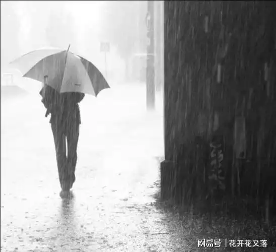 淋雨的故事|暴雨|雨中|雨伞_网易订阅