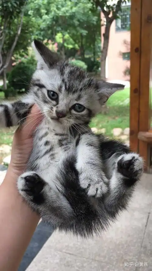 然后,这是小时候