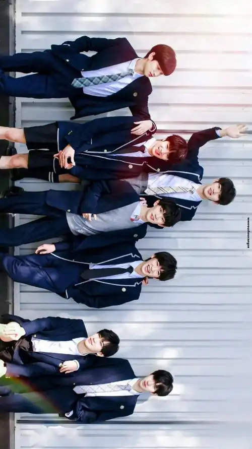 手机壁纸tnt时代少年团