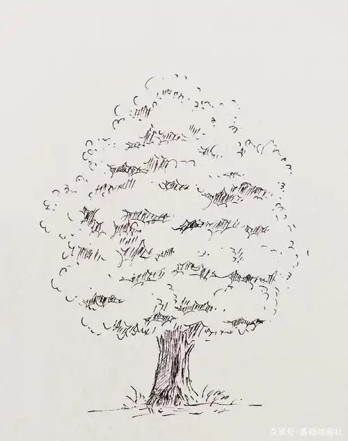 钢笔线稿——棵大树