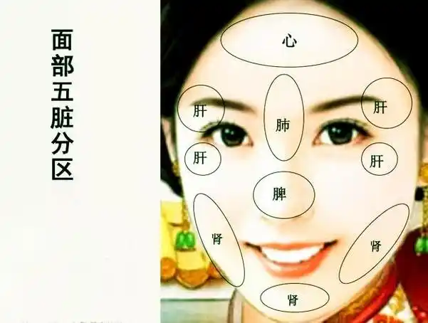 上图是面部五脏分区,脏腑功能有问题,会在相关区域上或多或少有所表示
