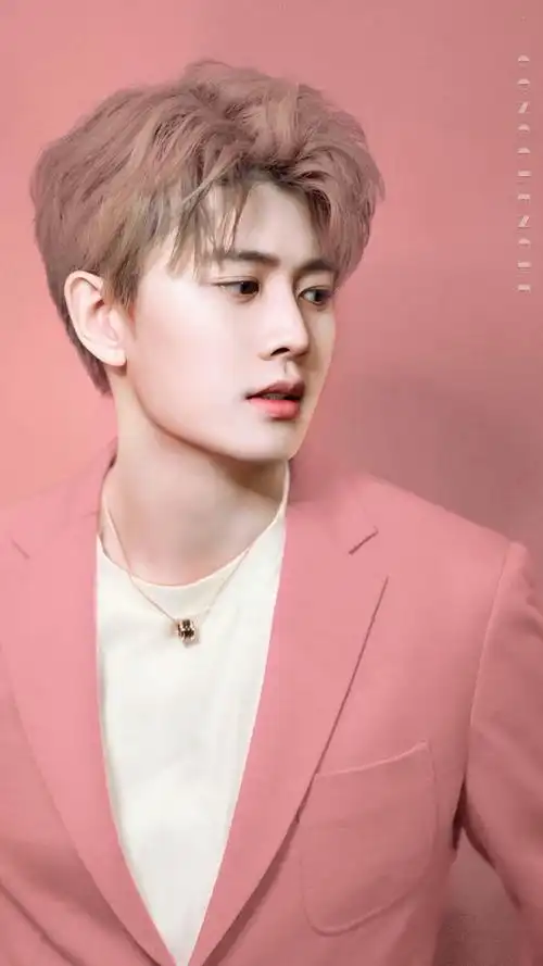 任嘉伦粉色系壁纸