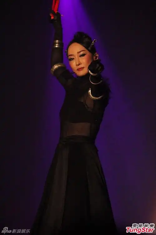 组图:萨顶顶开唱玩混音 透视黑衣性感挥扇_高清图集_新浪网