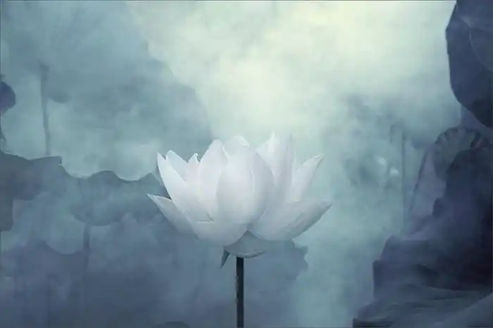 相由心生,说的是长相吗?