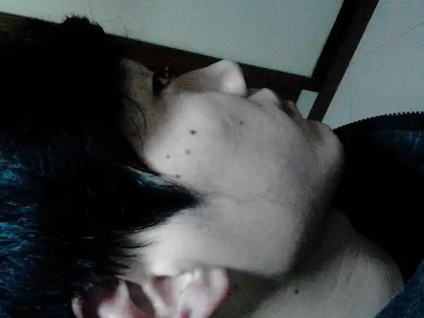 博朗剃须刀的鬓毛器也用过,但对一些黑的部位没用 从图里很容易看到有