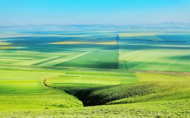 宽阔唯美青青草原绿色护眼桌面壁纸图片下载高清大图预览1920x1200