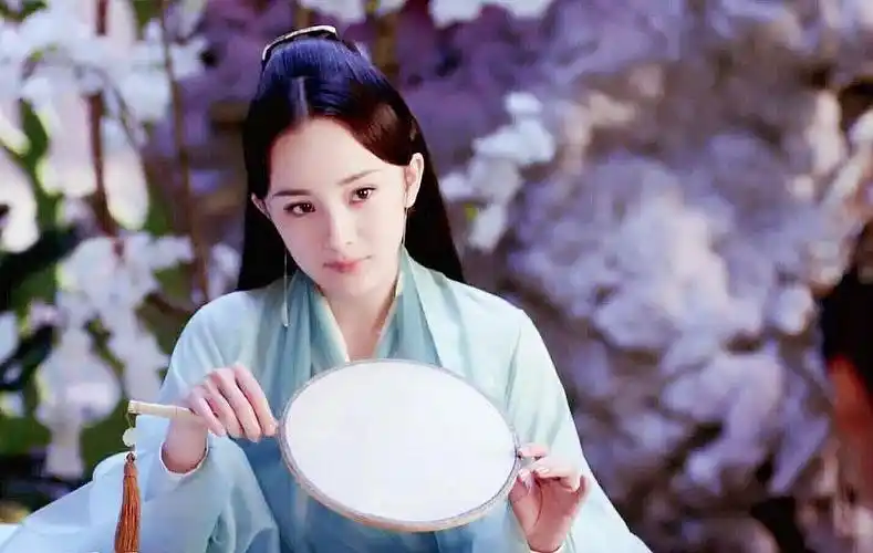 小猫咪的相册-.白浅宝宝