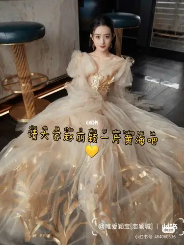 请大家给赵丽颖一片黄海吧