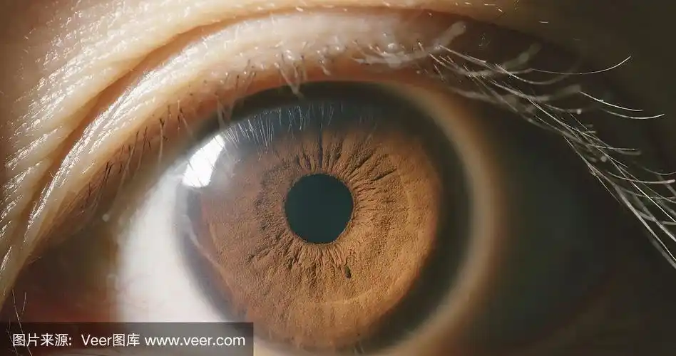 微距拍摄的棕色眼睛