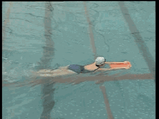 水中扶板蝶泳打腿练习