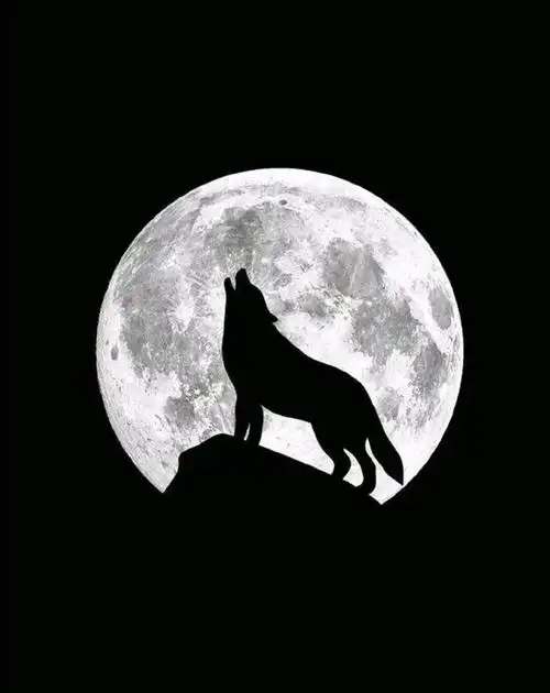 手机创意锁屏壁纸 你的壁纸该换了吗