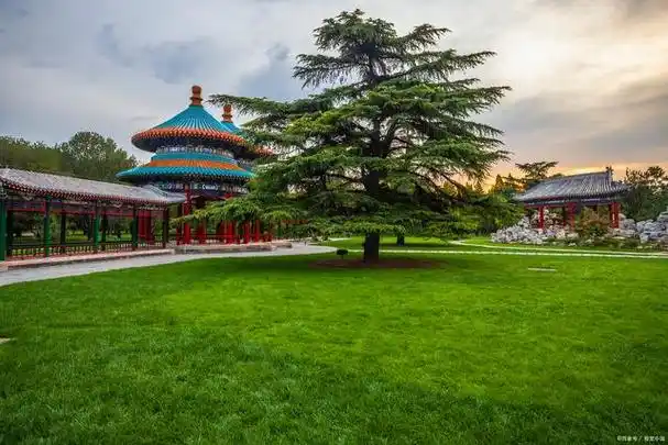 9月北京旅游好去处,北京秋天最美的10个景点,周边自驾游一日游