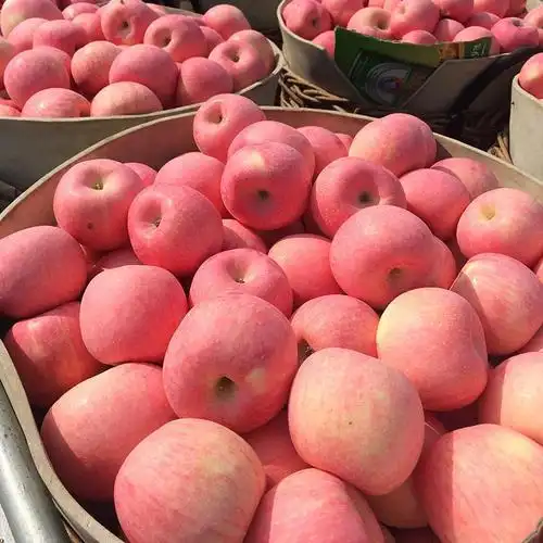 烟台栖霞红富士苹果