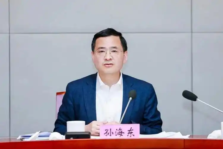 滨湖区委书记孙海东切实发挥专班作用推动各项工作提速见效