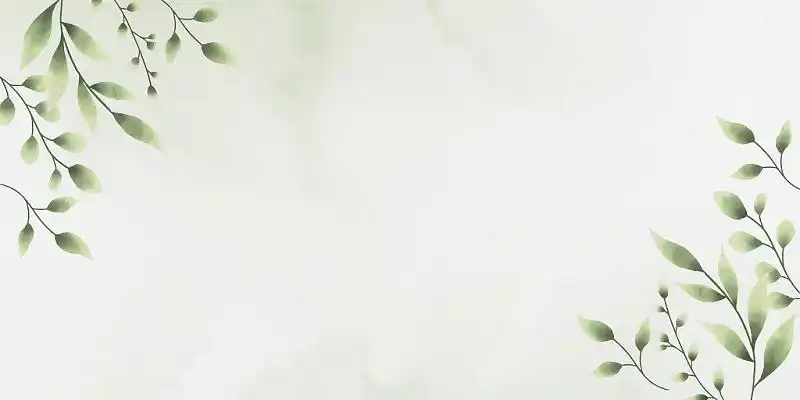 淡雅小清新绿色树叶装饰叶子绿叶展板背景