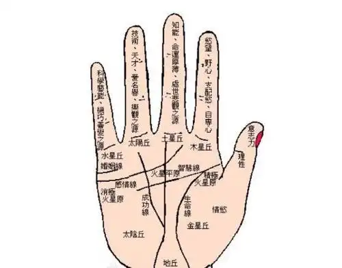 手相婚姻线大全图解