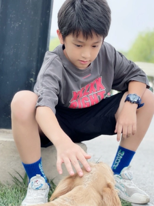 爸爸去哪儿四年后杨阳洋秀气阿拉蕾精致看见kimi男神