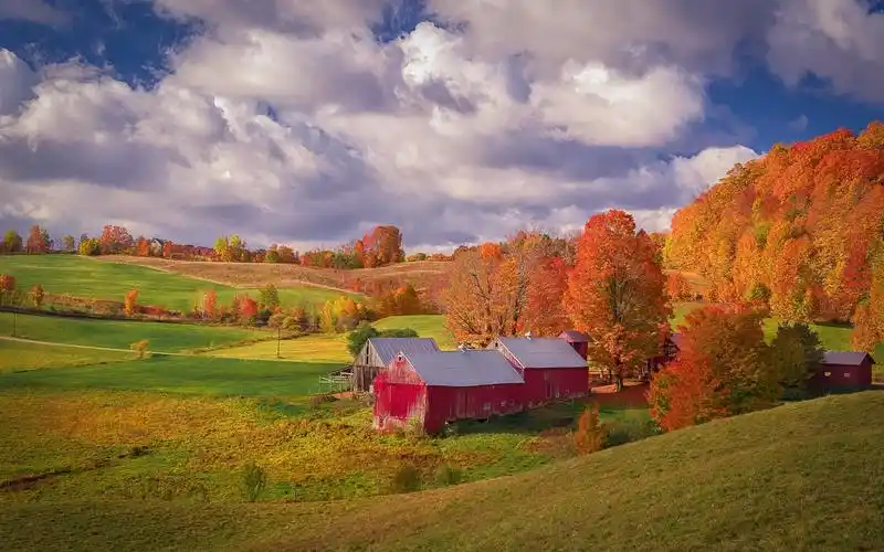 壁纸 田野,树木,房子,秋天