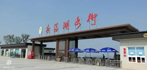 第二天,我们来到长荡湖水街游览.