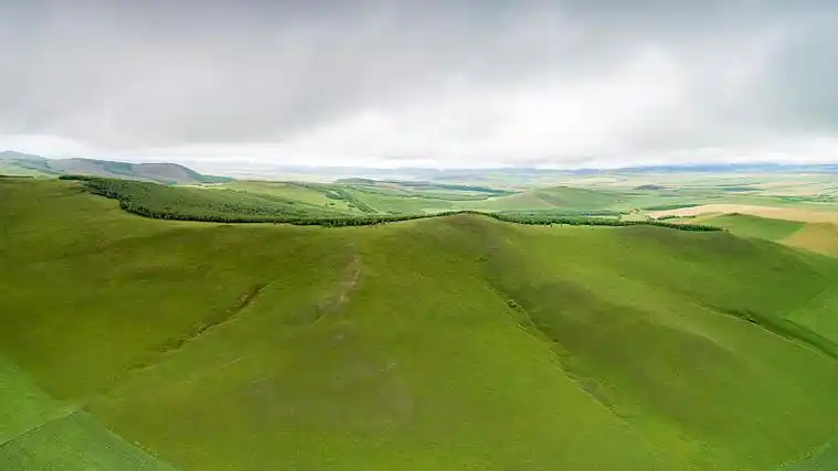 草原上的山坡和白桦林全景图片