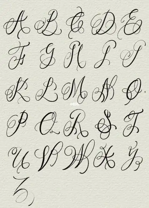 花体字  #我的日常  #学习 #英文花体字